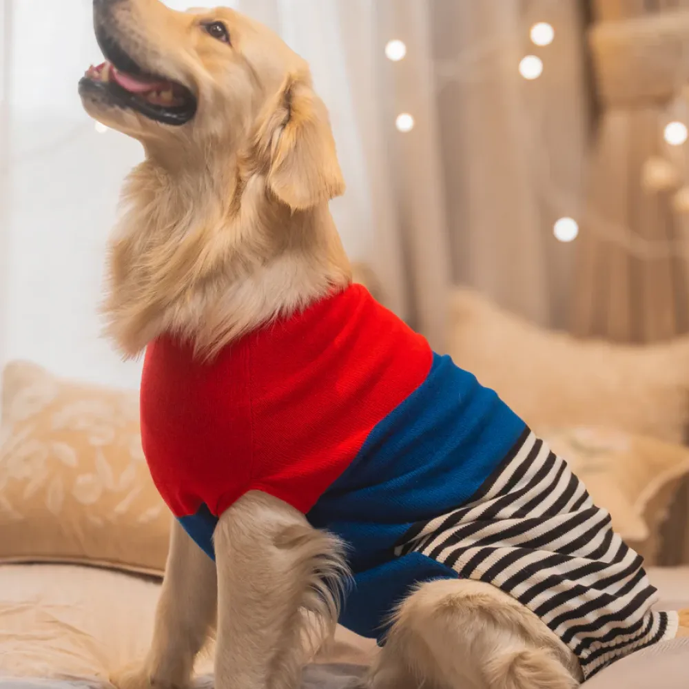 Pet Set Go Striped Sweater for Dogs (Red/Blue)