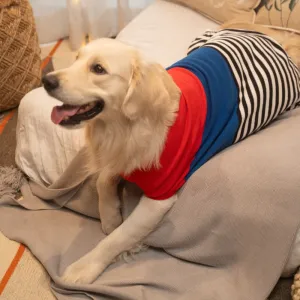 Pet Set Go Striped Sweater for Dogs (Red/Blue)