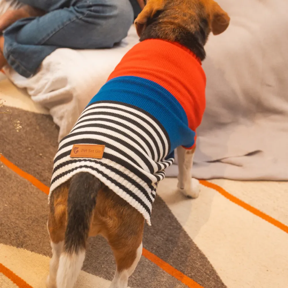 Pet Set Go Striped Sweater for Dogs (Red/Blue)